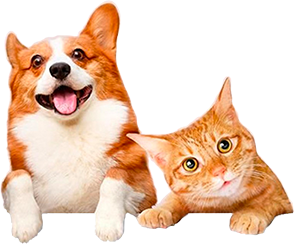 SUBSCRIBE TO OUR NEWSLETTER