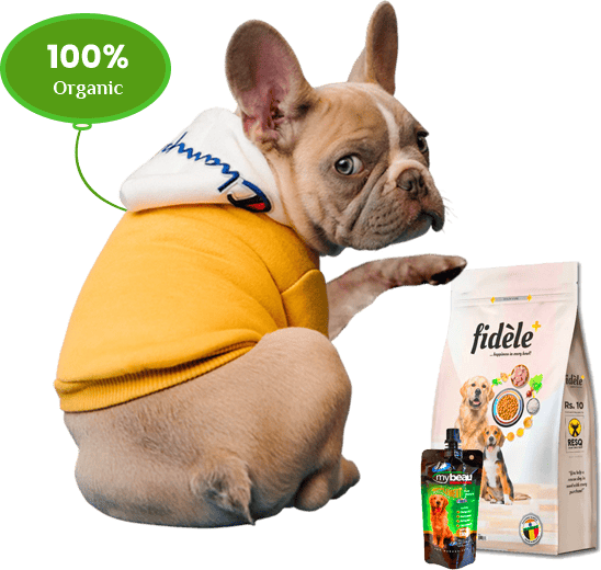 Food For Dog