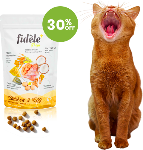 Food For Cat