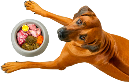 Fresh Food